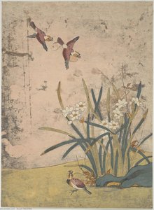 Birds And Narcissus — Suzuki Harunobu