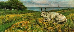 Ox Lying — Giovanni Fattori