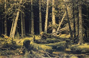 Wind Fallen Trees — Ivan Ivanovich Shishkin, Realism