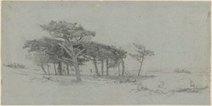Pine Trees By The Sea — William Trost Richards