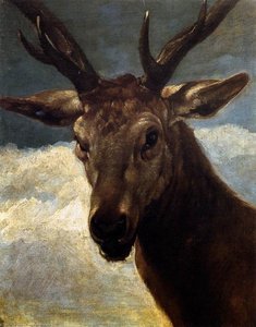 Head Of A Stag — Diego Velázquez