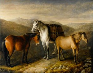 West Highland Ponies — William Shiels