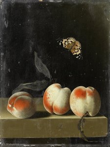 Three peaches on a stone ledge with a Painted Lady butterfly
