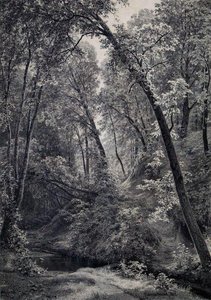 On A Stream — Ivan Ivanovich Shishkin, Peredvizhniki