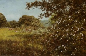 Early Summer