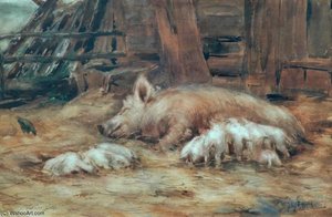 Sow And Piglets
