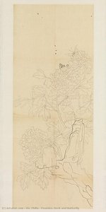Peonies, Rock And Butterfly — Xie Zhiliu