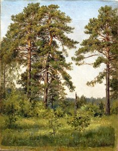 Edge Of The Pine Forest — Ivan Ivanovich Shishkin
