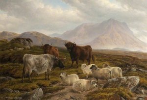Highland Cattle And Sheep In A Mountainous Landscape — Charles Jones