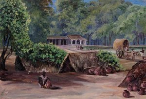 Native Huts near Tanpori, India
