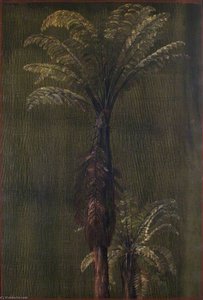 A New Zealand Tree Fern — Marianne North
