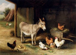 Donkey Hens And Chickens In A Barn — Edgar Hunt