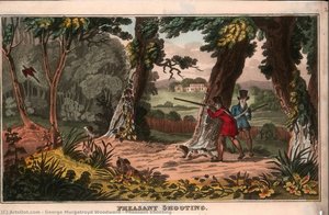 Pheasant Shooting