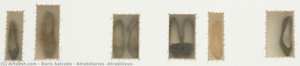 Atrabiliarios (atrabilious) — Doris Salcedo