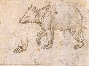 Study Of A Bear Walking — Leonardo Da Vinci, Early Renaissance