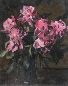 Peonies