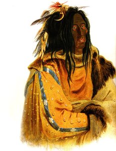 Mehkskeme-sukahs Blackfoot Chief — Karl Bodmer