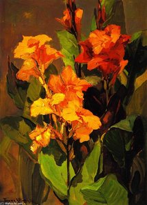 Canna Lilies — Franz Bischoff