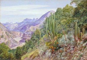 The Baths Of Cauquenas In The Cordilleras, South Of Santiago, Chili — Marianne North, Victorian Romantic Landscape