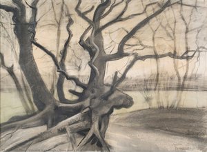 Tree Roots In A Sandy Ground ( — Vincent Willem Van Gogh