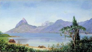 Lagoa De Freitas Near Rio, Brazil — Marianne North