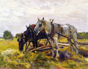 Draft Horses — Mathias Joseph Alten