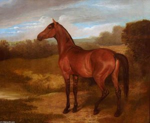 Colt Of Mare And Arab Horse - — Jacques Laurent Agasse