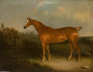 A Chestnut Hunter — Henry Bernard Chalon