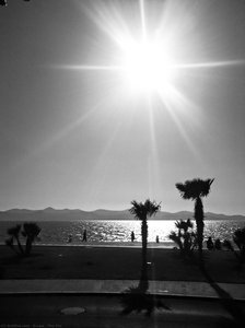 The Sun — Alfred Freddy Krupa