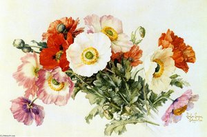 Iceland Poppies — Raoul De Longpre