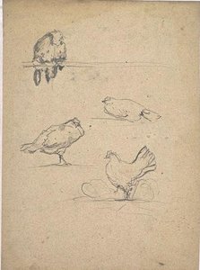 Sketch Of Chickens — Paul Camille Guigou