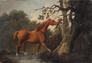 A Chestnut Horse — Sawrey Gilpin