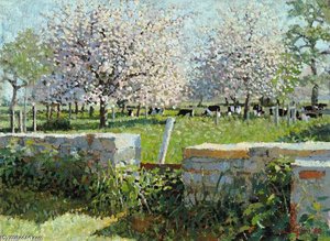 Cows In The Orchard — Lucy Willis