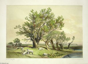 Tree And Landscape — James Duffield Harding