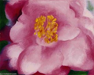 Pink Camellia — Georgia O'keeffe