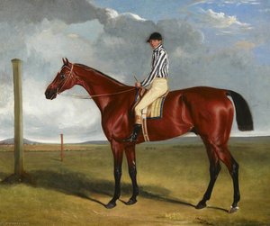 Bay Racehorse And Rider — Sr John E Ferneley