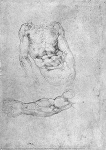 Studies For "pieta" Or "the Last Judgement" — Michelangelo Morlaiter