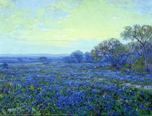Field of Bluebonnets under Cloudy Sky