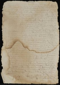 Poder Que Otorga Francisco Pinelo A Su Criado Andrés De San Martín — Bernal González De Vallecillo (public Notary)