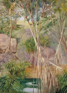 Screw Pines In Praslin, Seychelles — Marianne North