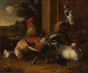 A Poultry Yard, Melchior D"hondecoeter, C. 1660 - C. 1665 — Melchior De Hondecoeter
