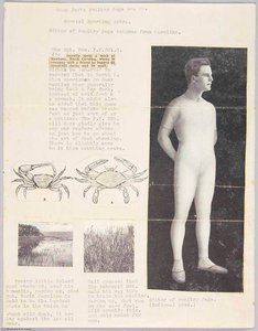 Goop Joe's Poultry Page, No. 20. Special Sporting Extra — Joseph Cornell