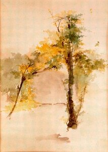 Trees 2 — Ovidio Murguía De Castro