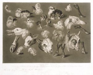Studies From Nature — James Ward