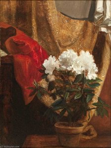 Still Life With Potted Flower