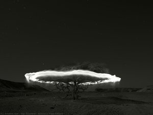 Acacia#1, East Sahara — Ugo Ricciardi