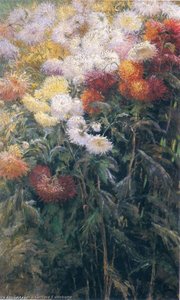 Clump Of Chrysanthemums, Garden At Petit Gennevilliers — Gustave Caillebotte