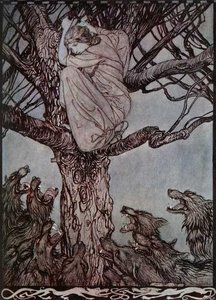 Sitting On A Branch, She Looked With Angry Woe At The Straining And Snarling Horde Below — Arthur Rackham