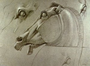 Kopf Des Pferdes Der Selene — Benjamin Robert Haydon