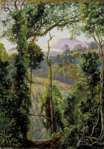 View Looking Out Of The Bunya Forest At The Summit, Queensland — Marianne North, Contemporary Realism